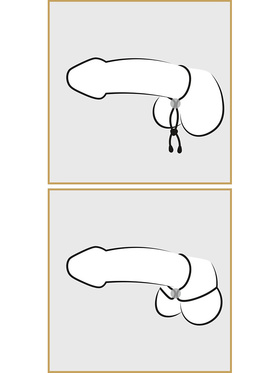 Bad Kitty: Cock & Ball Loop