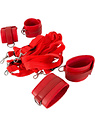 Bed Restraints