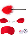 Intro Bondage Kit #2