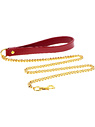 Chain Leash