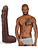 Signature Cocks: Anton Harden, Realistic Ultraskyn Dildo, 29 cm