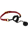 Kinky Gag with Plug