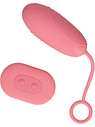Remote Egg Vibrator