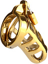 Brutal Chastity Cage