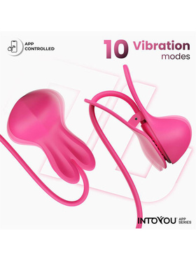 IntoYou: Tickly, Vibrating Nipple Clamps with App