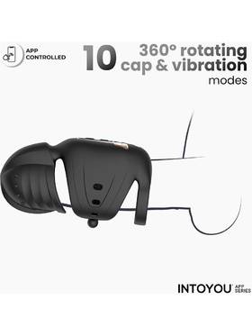 IntoYou: Zonte, Rotating Cap Vibrating Masturbator with App